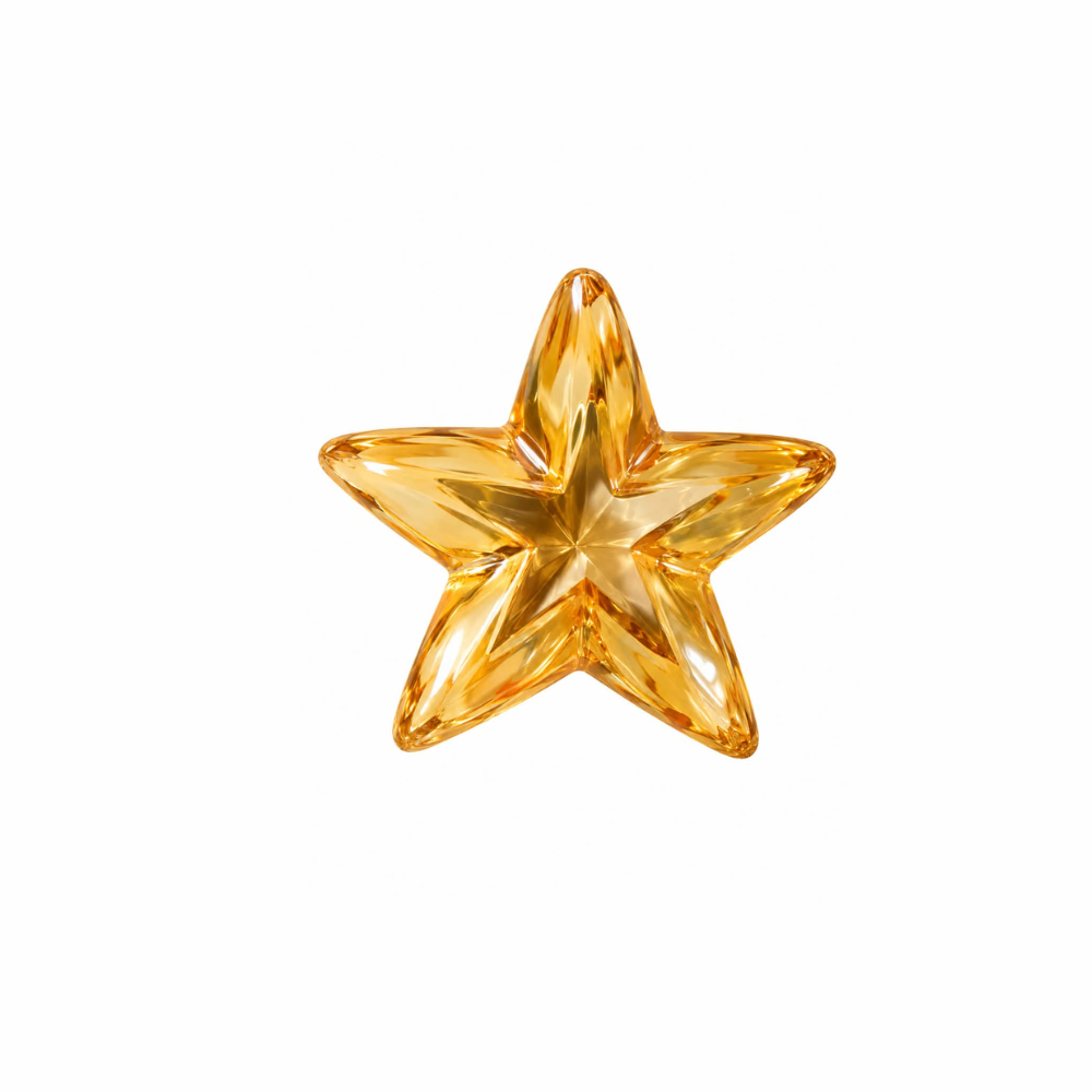 Acrylic Star Hair Claw Clip